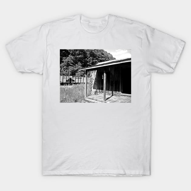 Rustic World T-Shirt by PaulLu